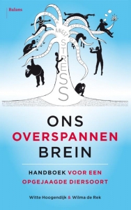 Van big bang tot burn-out