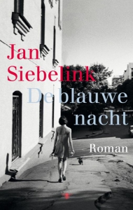 De blauwe nacht